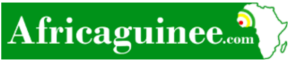 logo africaguinee.com